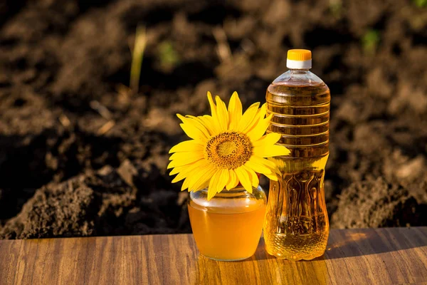 Glass honey jar and bottle of oil on wooden stand with ground background. Photo with copy space area for text