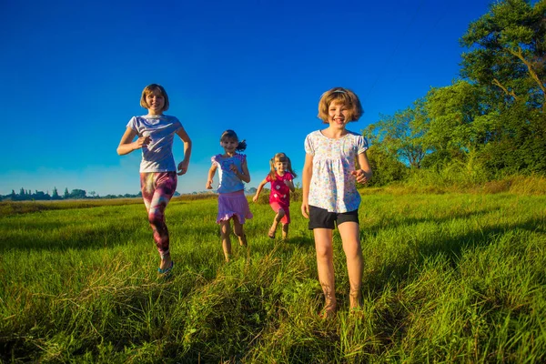 Grande Grupo Crianças Correndo Campo Verão Com Fundo Azul Céu — Fotografia de Stock