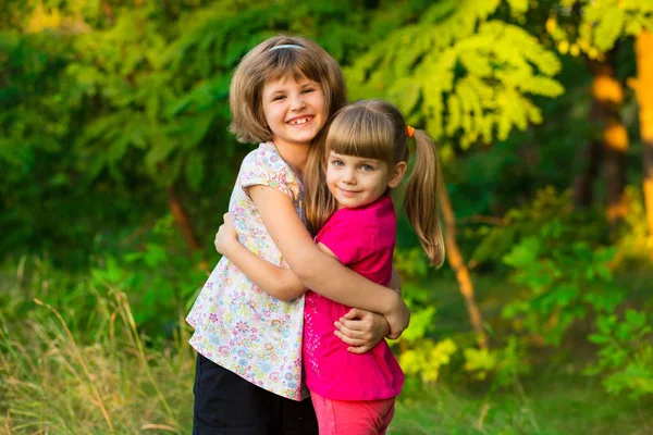 Dos Adorables Hermanitas Riendo Abrazándose Día Soleado Parque Verano —  Fotos de Stock