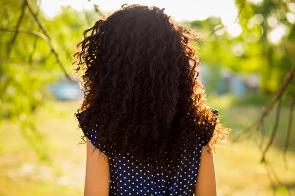 Achteraanzicht Van Krullend Vrouw Poseren Blauwe Jurk — Stockfoto