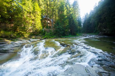 Şelalenin güzel arka planı yosunlu kayaların üzerine düşüyor.
