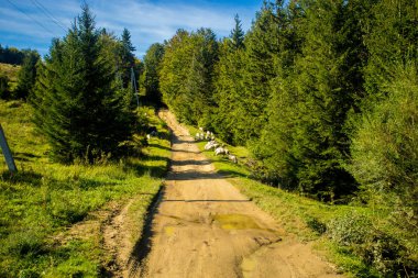 Güzel manzara mavi gökyüzü ile yaz dağların. Sonbahar dağ köyü panoramik manzarası