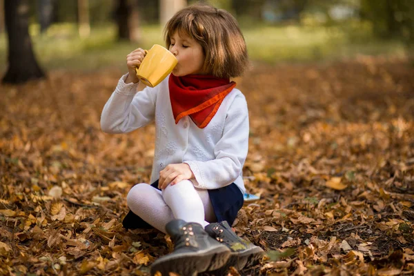 Счастливая Маленькая Девочка Пьет Горячий Чай Осеннем Парке Окружении Желтого — стоковое фото
