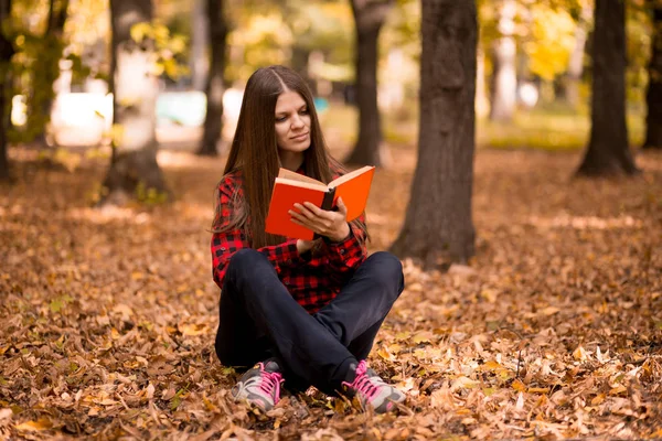 Piękna Dziewczyna Parku Jesień Czytanie Książki Dziewczyna Czytanie Książki — Zdjęcie stockowe