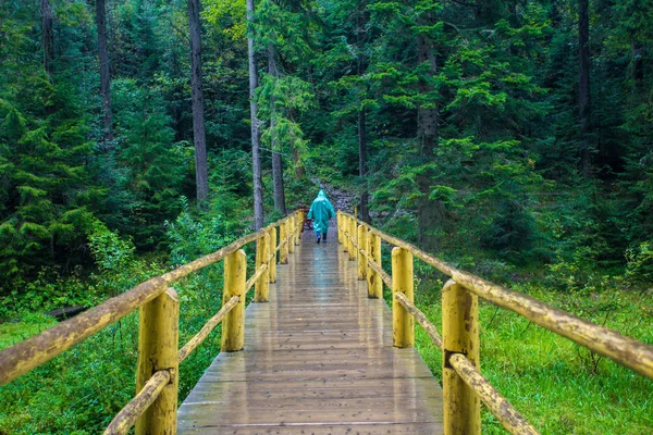 Touristinnen Fahren Mit Selbstgebastelter Holzbrücke Mitten Wald Bei Regen Regenkoffer — Stockfoto