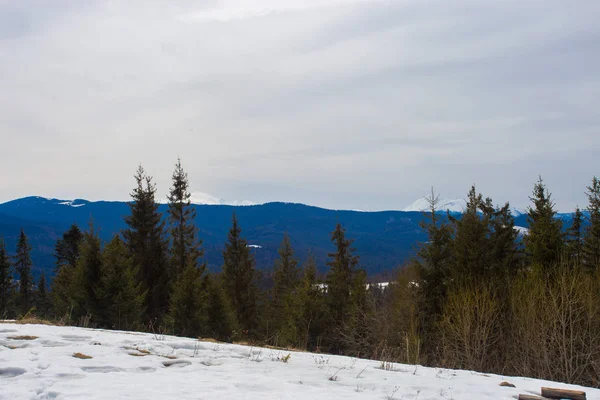 Schöne Winterlandschaft mit schneebedeckten Bäumen. Winterzeit — Stockfoto