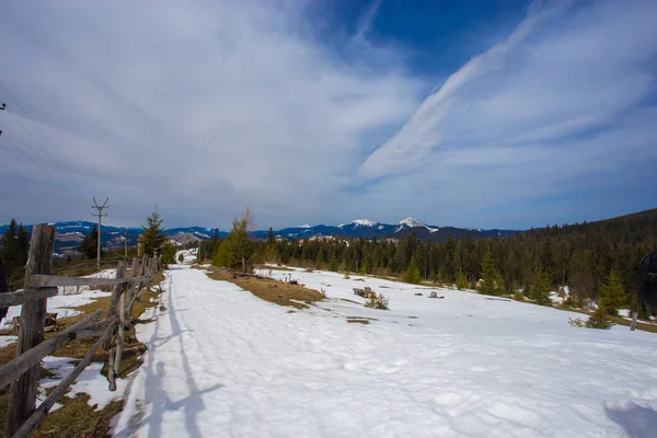Schöne Winterlandschaft mit schneebedeckten Bäumen. Winterzeit — Stockfoto