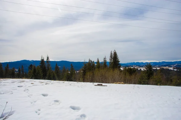 Schöne Winterlandschaft mit schneebedeckten Bäumen. Winterzeit — Stockfoto