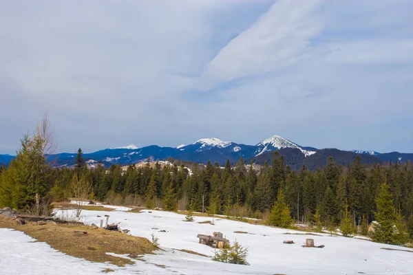 Schöne Winterlandschaft mit schneebedeckten Bäumen. Winterzeit — Stockfoto