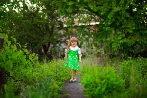 Kleines Mädchen Spaziert Grünen Garten Sonnigen Sommertagen — Stockfoto