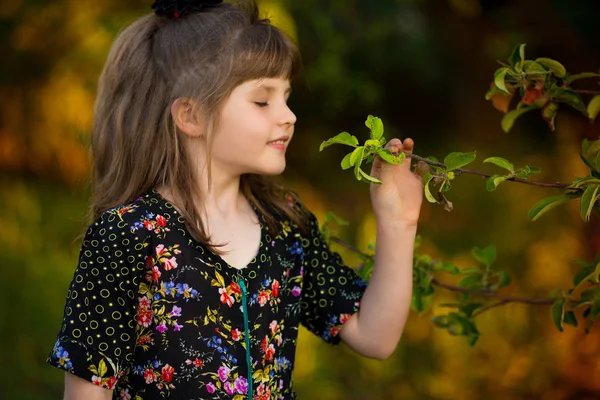 Bella Bambina Odora Albero Tramonto — Foto Stock