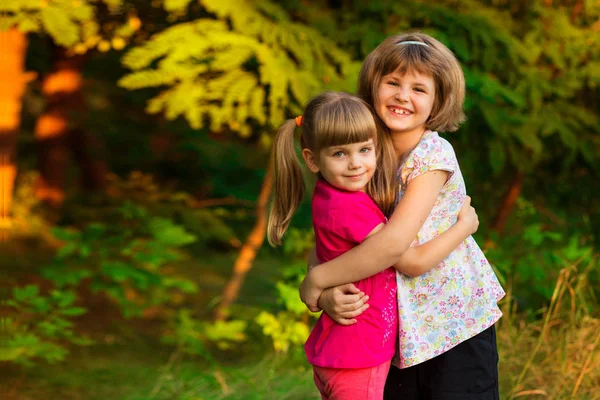 Dos Adorables Hermanitas Riendo Abrazándose Día Soleado Parque Verano —  Fotos de Stock