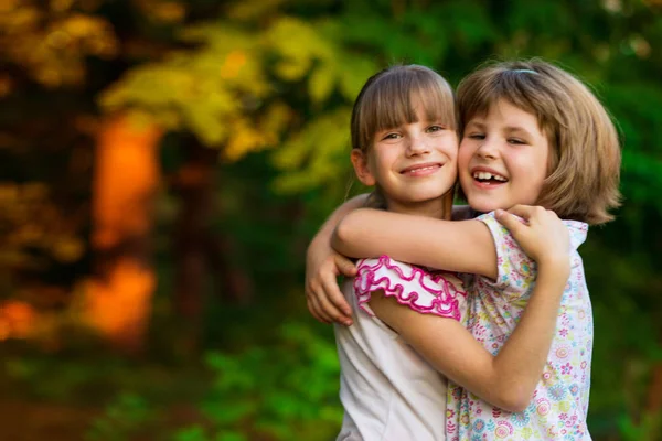 Dos Adorables Hermanitas Riendo Abrazándose Día Soleado Parque Verano —  Fotos de Stock