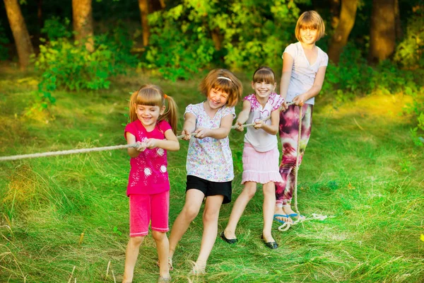 Group Happy Children Playing Tug War Grass Kids Pulling Rope — Stock Photo, Image