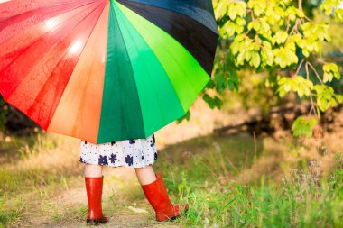 Mutlu çocuk kız yürümek Sonbahar yağmur altında çok renkli şemsiye ile