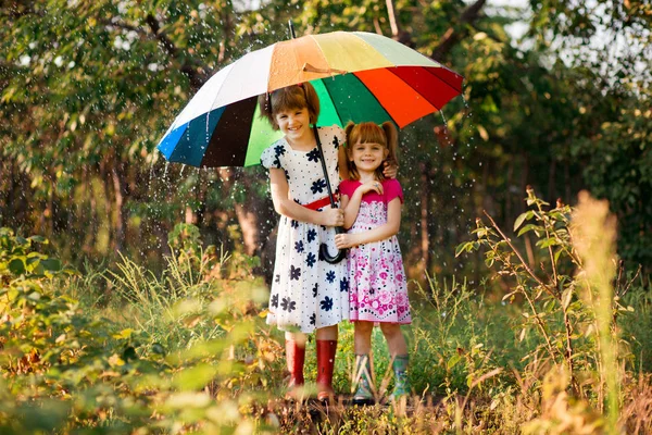 Gyerekek Színes Esernyő Játék Őszi Zuhany Esőben Kislányok Játszani Park — Stock Fotó