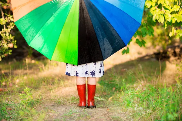 Счастливая Девочка Ходит Разноцветным Зонтиком Осенним Дождем — стоковое фото