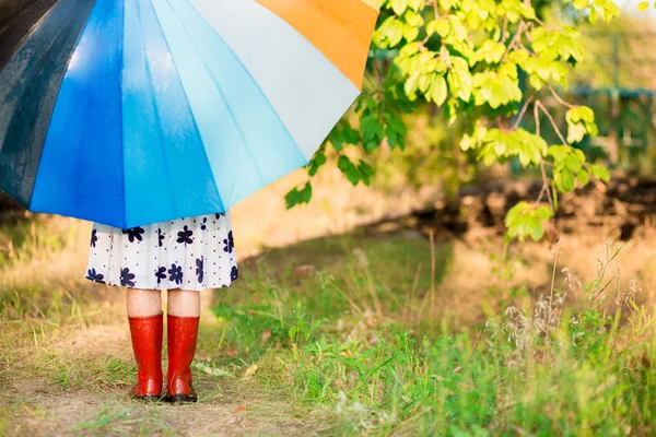 Feliz Niña Caminar Con Paraguas Multicolor Bajo Lluvia Otoño —  Fotos de Stock