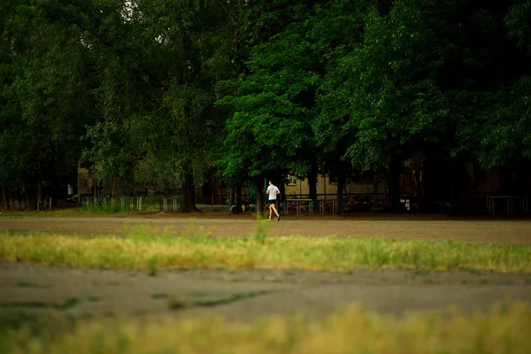 Jeune Homme Athlétique Courir Dans Nature Soirée — Photo