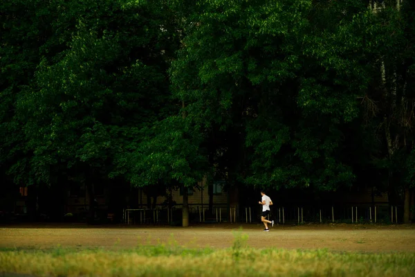 Jeune Homme Athlétique Courir Dans Nature Soirée — Photo