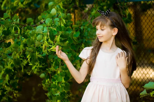 緑夏の畑の真ん中にエレガントなドレスの美しい少女の肖像画 — ストック写真