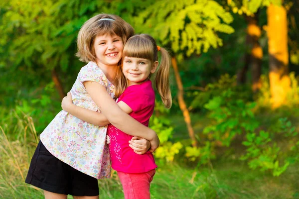 Dos Adorables Hermanitas Riendo Abrazándose Día Soleado Parque Verano —  Fotos de Stock