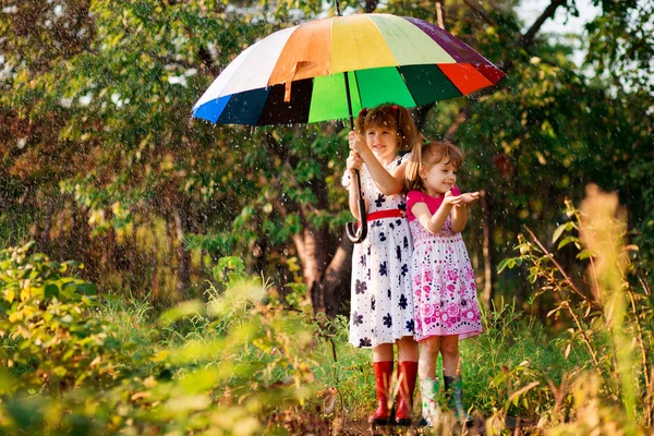 Gyerekek Színes Esernyő Játék Őszi Zuhany Esőben Kislányok Játszani Park — Stock Fotó