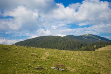 Güzel manzara mavi gökyüzü ile yaz dağların. Yaz dağ köyü panoramik manzarası
