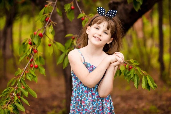 Happy Little Girl spelen in de buurt Cherry Tree in de zomertuin. Kid plukken kers op fruitboerderij. Kind pick kersen in de zomer boomgaard. — Stockfoto