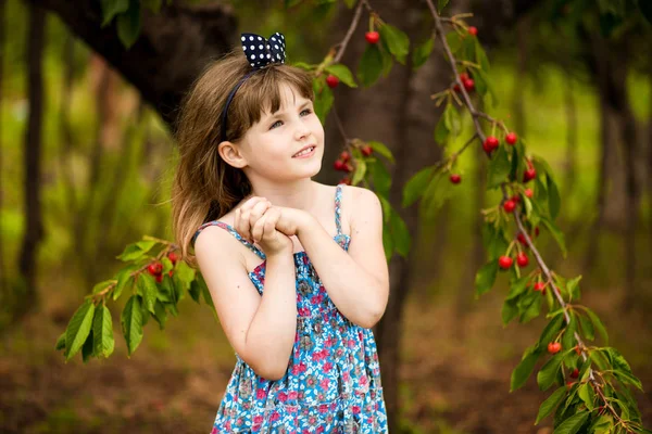 Fröhliche kleine Mädchen spielen in der Nähe von Kirschbaum im Sommergarten. Kinder pflücken Kirschen auf Obstbauernhof. Kind pflückt Kirschen im Obstgarten. — Stockfoto