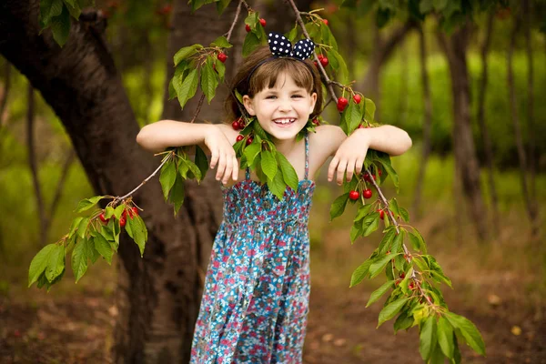 Fröhliche kleine Mädchen spielen in der Nähe von Kirschbaum im Sommergarten. Kinder pflücken Kirschen auf Obstbauernhof. Kind pflückt Kirschen im Obstgarten. — Stockfoto