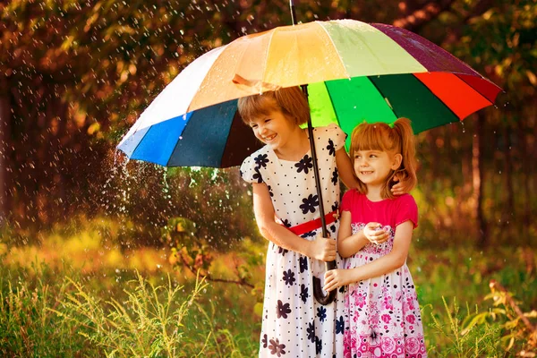 Bambini con ombrellone colorato che giocano sotto la pioggia autunnale. Le bambine giocano nel parco con il tempo piovoso. Autunno divertimento all'aperto per i bambini. Ragazzo cattura gocce di pioggia . — Foto Stock