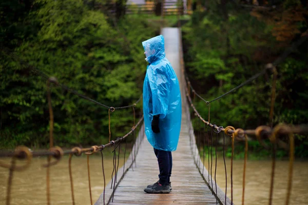 Man in blue raincoat walking in coniferous forest during rainy and foggy day.