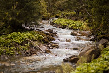Şelalenin güzel arka planı yosunlu kayaların üzerine düşüyor.
