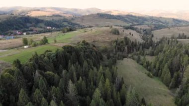 Güzel dağlardaki ladin ve çam ormanlarının havadan görünüşlü insansız hava aracı. İnsan yok, seyahat konsepti. Doğanın tadını çıkarıyor.