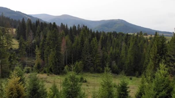 Vue Aérienne Beaux Paysages Avec Forêt Montagnes Vue Drone Sur — Video