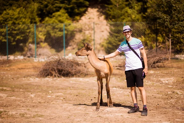 Toeristische Man Die Jonge Herten Met Hand Aanraakt Karpaten Dierentuin — Stockfoto