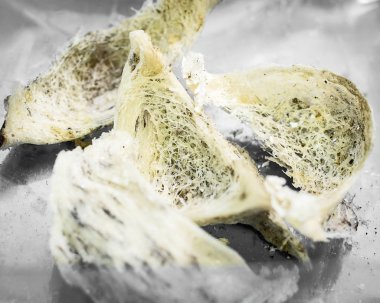 Ham yakın kuş yuva Temizleme, geleneksel Çin incelik.