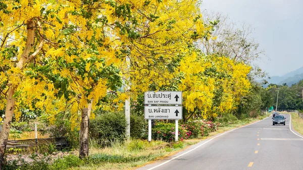 Roadside Have Many Golden Shower Tree Scientific Name Cassia Fistula — Stock Photo, Image