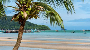 Ön plan ile geleneksel balıkçı tekneleri Tayland, Hindistan cevizi vardır.