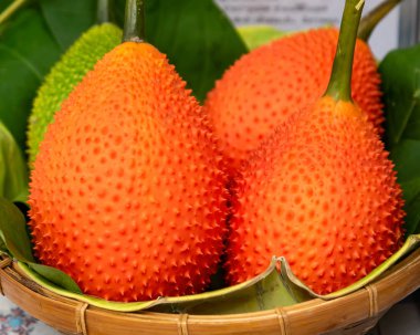 GAC meyve sağlıklı (Momordica cochinchinensis).