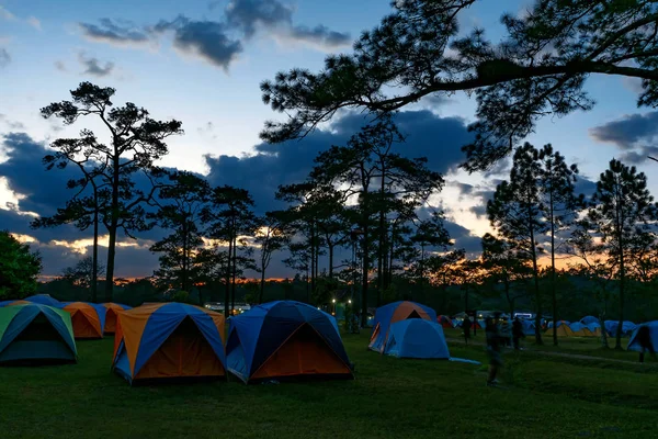 Colorful outdoor tent at sunset, forest campsite at Phu Kradueng National.