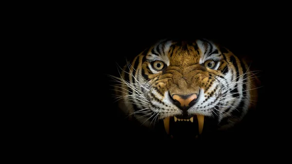 Ritratto di tigre . — Foto Stock