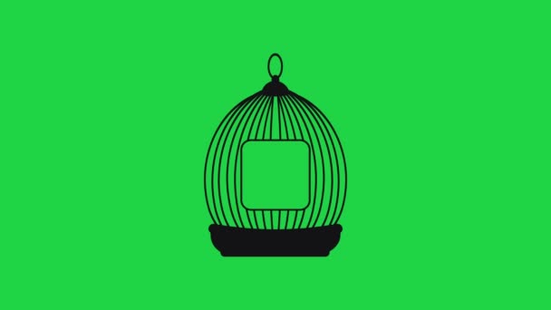 Анимация Птичьих Клеток Внутри Клетки Появляется Человеческий Мозг Зеленый Экран — стоковое видео