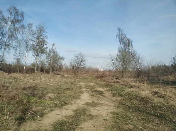 Strada Tra Campi Gli Alberi Inizio Primavera Russia — Foto Stock