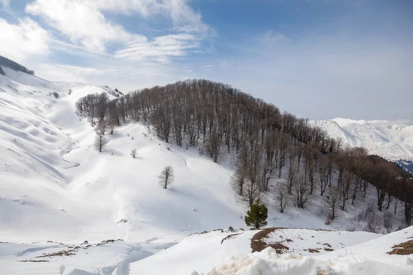 Berg bedekt met sneeuw — Stockfoto