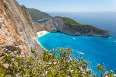 Çiçekler ve batık ile bir plaj 