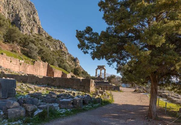 Ruinas del templo de Atenea pronaia en Delphi con nieve — Foto de Stock