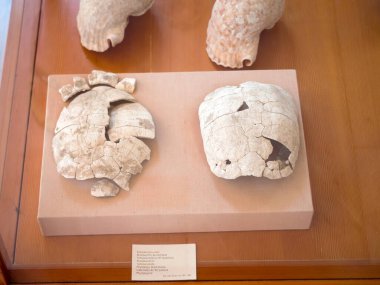 MILOS - GREECE, 14 Temmuz 2017: Yunanistan 'ın Milos adasındaki müzenin Antik Yunan sergileri