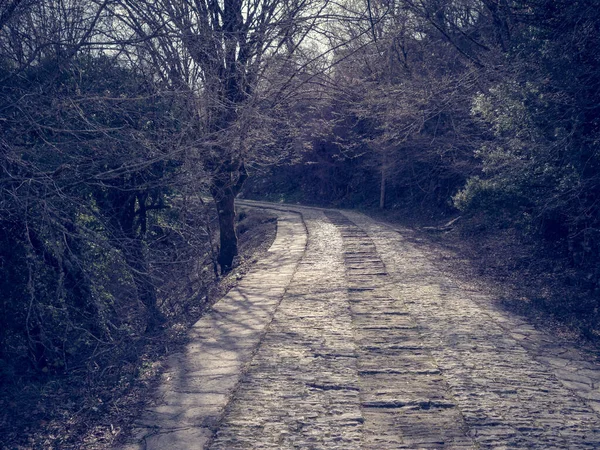 Tradiční Vesnice Monodendri Klášterem Rokli Vikos Epirus Řecko — Stock fotografie